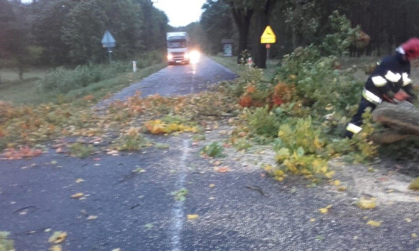 Pozrywane i uszkodzone dachy, połamane drzewa oraz zerwane...