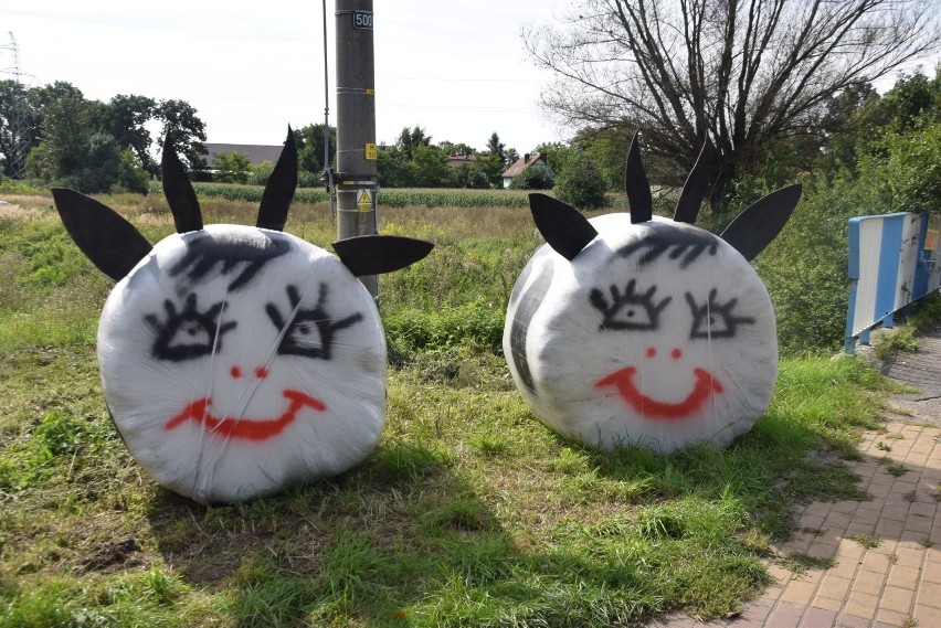 Dożynki miejskie w Tychach-Urbanowicach