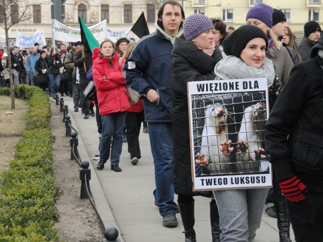 Festiwal miał być kontynuacją Marszu (NIE) Milczenia, jaki odbył się w Poznaniu w lutym tego roku