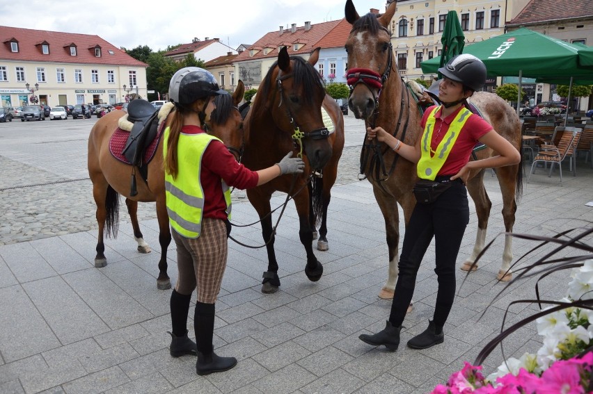 Piękne konie: Gwiazda, April i Mario na oświęcimskim rynku