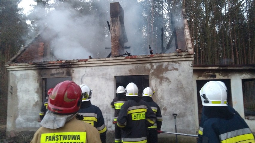Pożar domu w Chynowej. Budynek spalił się doszczętnie [ZDJĘCIA]