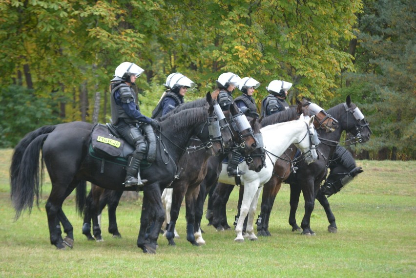 Policyjni jeźdźcy na koniach z całej Polski oraz policjanci...