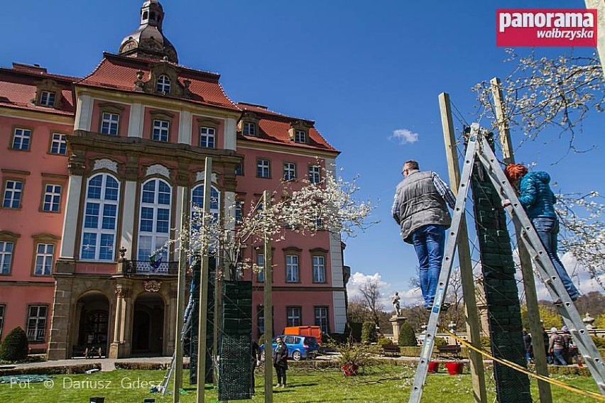 Florystyczne Mistrzostwa Polski w Zamku Książ