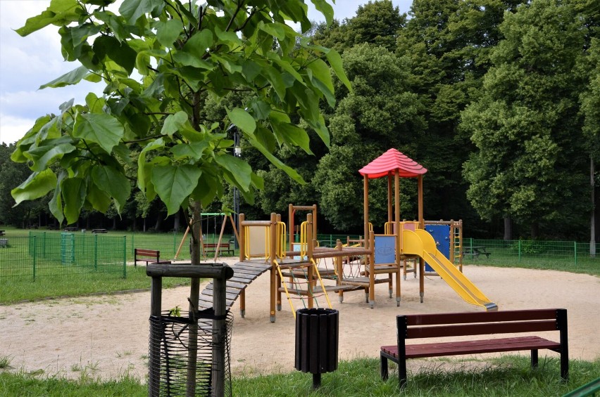 Zasadzenie symbolicznego drzewa w parku im. Powstańców Śląskich