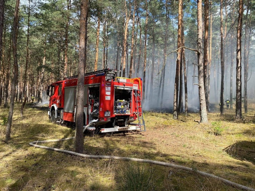 Kilka pożarów i wypadek, w którym samochód uderzył w drzewo...