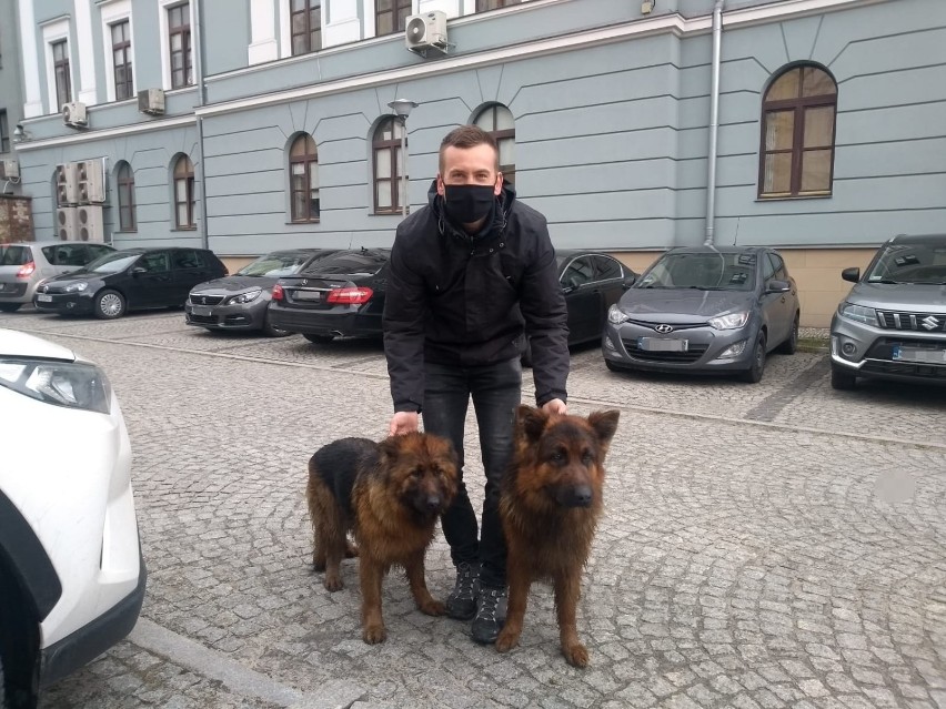 Psy na terenie Komendy Wojewódzkiej Policji