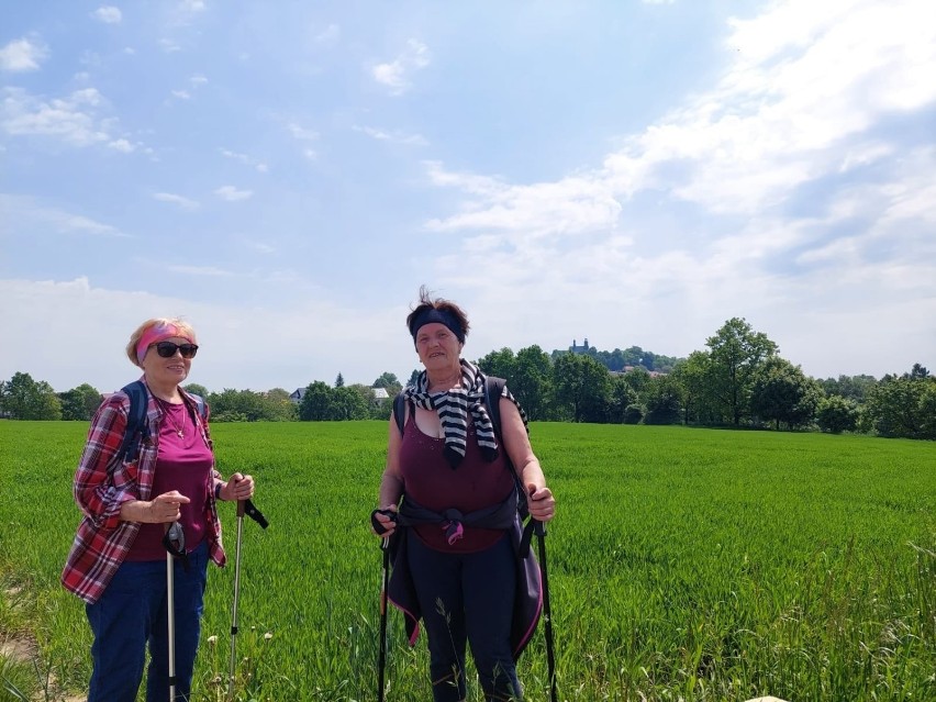 Pasjonaci nordic walking pielgrzymowali na Górę św. Anny