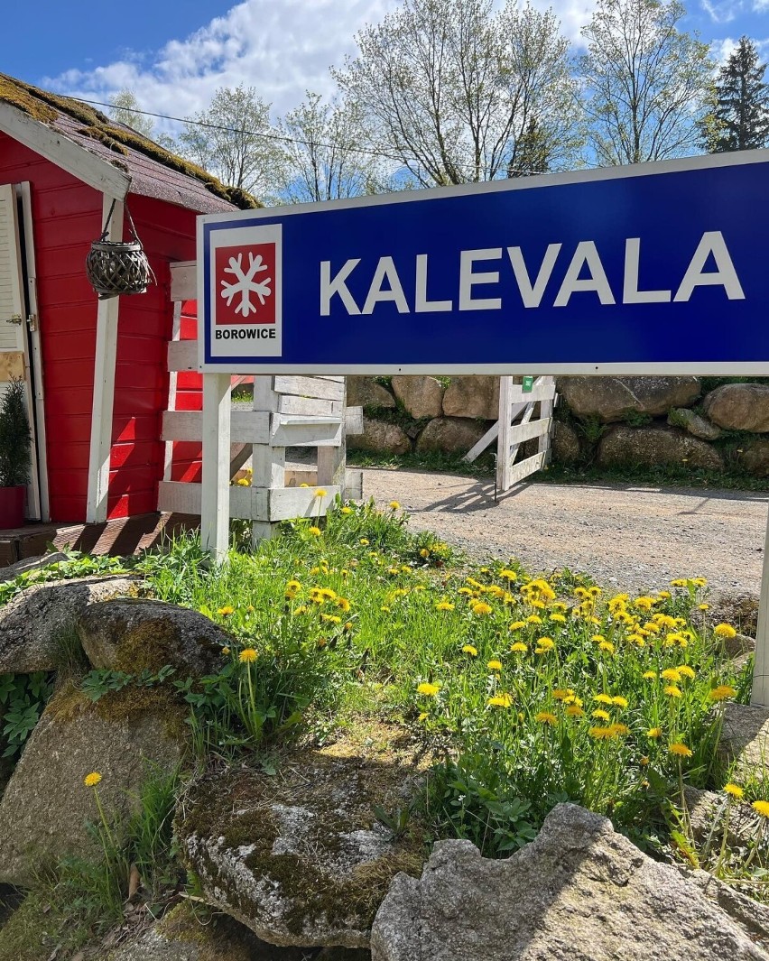 Kalevala powstała w Borowicach, niewielkiej wiosce koło...