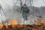 Pożar lasu w Bukownie w woj. małopolskim. Śląscy strażacy pomagają gasić pożar