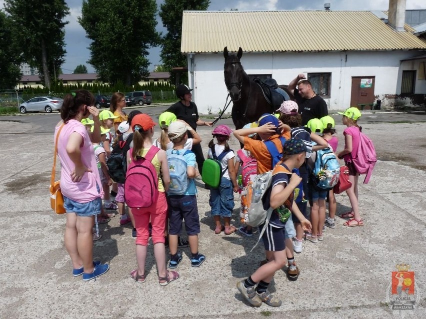 Lato w Mieście: Dzieci brały udział w treningu Policji Konnej [ZDJĘCIA]
