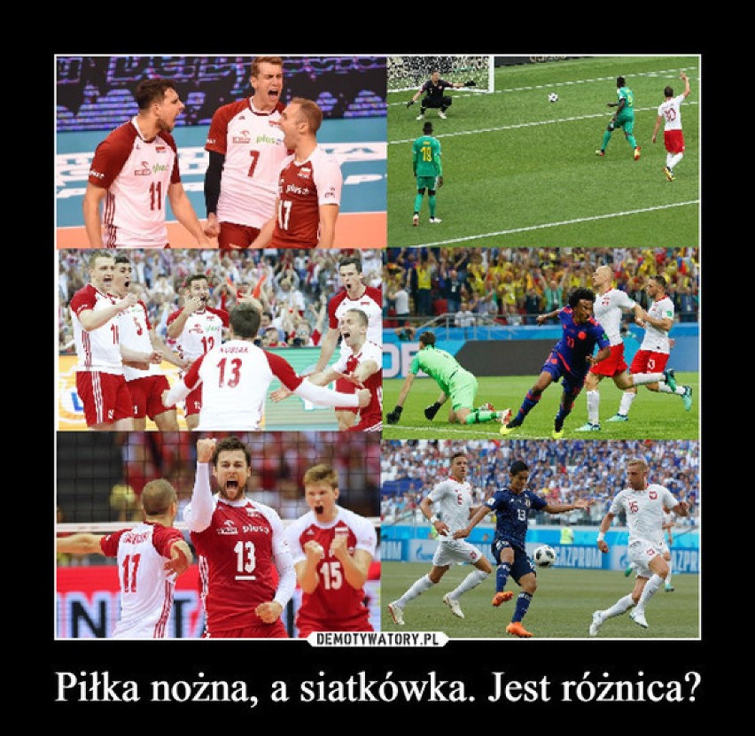 Polska - Brazylia 3:0. Polska MISTRZEM ŚWIATA. MEMY po...