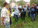 Niepubliczna Szkoła Podstawowa nr 7 w Słupsku:  Zobacz jak było na Święcie Drzewa [ZDJĘCIA]
