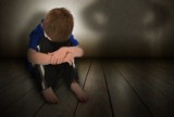 Pleszew. Szok! 11-latek i 8-latka molestowani seksualnie przez mieszkańców powiatu pleszewskiego. Mężczyźni zostali zatrzymani