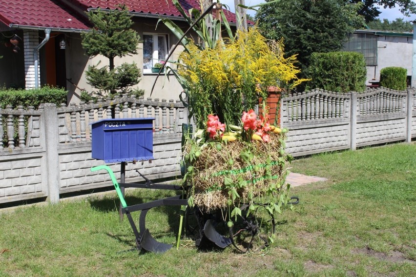 Gminne dożynki w Łomnicy