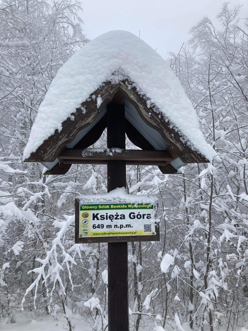 Zimowy Beskid Wyspowy. Piękne widoki i… ryś w leśnych ostępach 