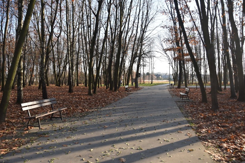 Tarnów. Przepiękna jesień w Parku na Piaskówce i w Parku Strzeleckim zachwyca barwami [ZDJĘCIA]