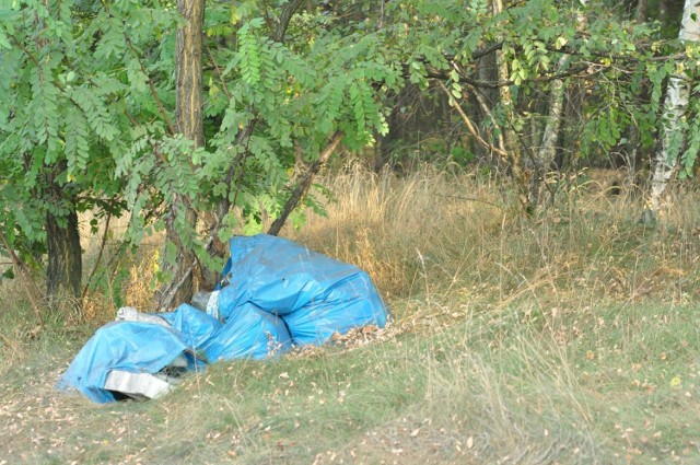Śmieci w lasach - powiat wolsztyński