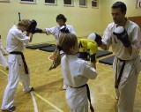 Bydgoska Szkoła Kyokushin Karate