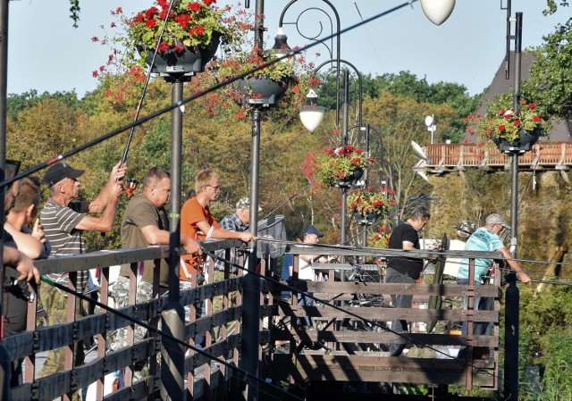 Raz do roku wędkarze mogą przez kilka godzin legalnie łowić ryby w stawach w inowrocławskim Parku Solankowym. Na dodatek, ci z wędkarzy, którzy wyciągną z wody najwięcej ryb, mogą liczyć na nagrody. Tegoroczne zawody odbyły się dziś, 24 sierpnia. W siatkach uczestników znalazło się przede wszystkim sporo karasi i płotek. Zobaczcie zdjęcia z tej imprezy.