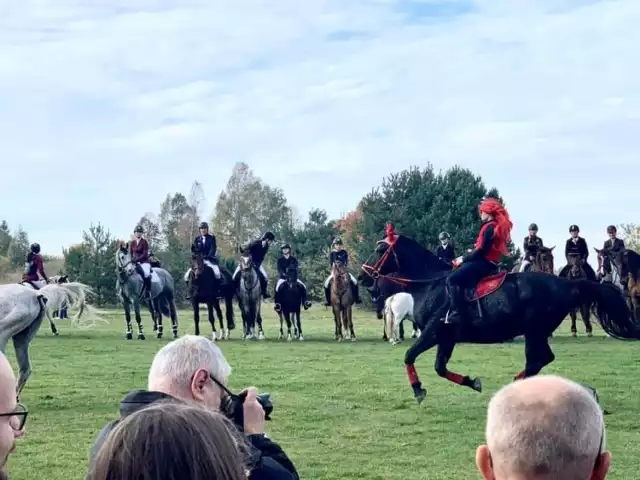 Hubertus 2022 w Olsztynie pod Częstochową. Piękne konie i jeźdźcy