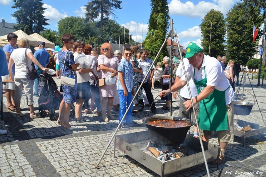 Dni Kraśnika 2016