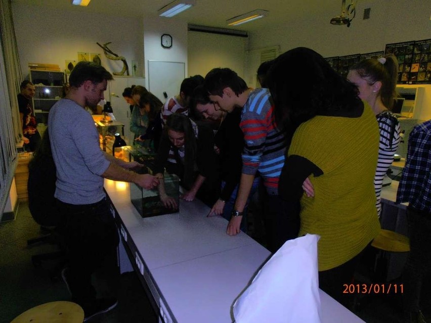 Myszkowscy licealiści wzięli udział w Katowicach w Nocy Biologów [ZDJĘCIA]