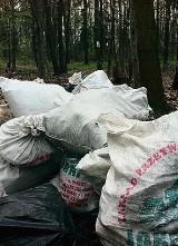 Rybnik: Worki wypełnione śmieciami w lesie, w okolicy zalewu