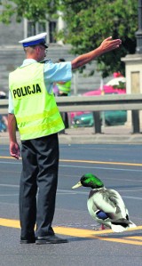 Policjanci wzywani do niepoważnych spraw. Czy jest na to rada?