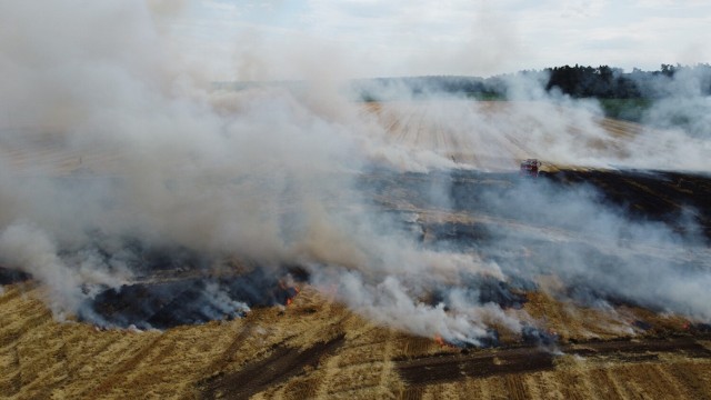 Pożar pola niedaleko Szymiszowa pod Strzelcami Opolskimi.