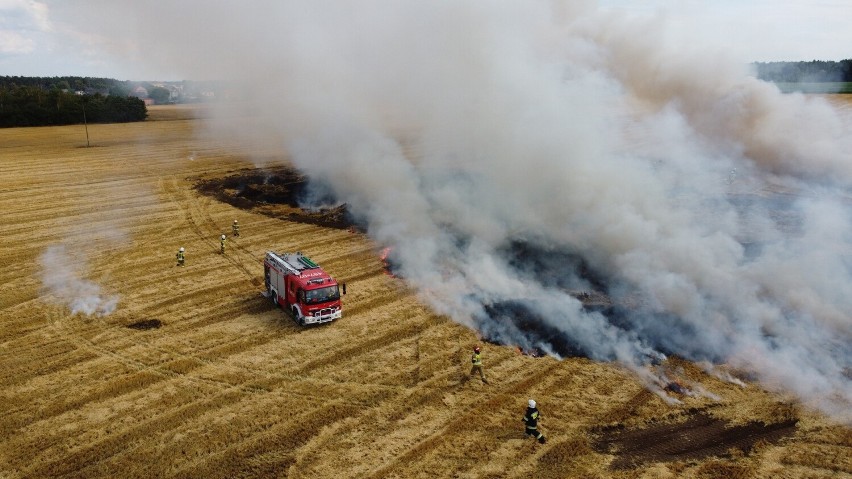 Pożar pola niedaleko Szymiszowa pod Strzelcami Opolskimi.