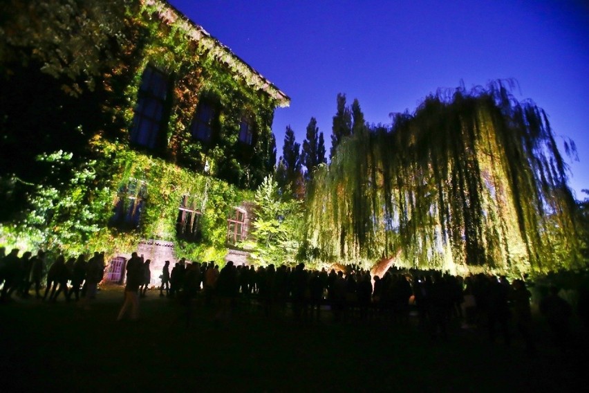 Bajkowy Ogród Botaniczny. Wieczorne pokazy iluminacji [ZDJĘCIA]