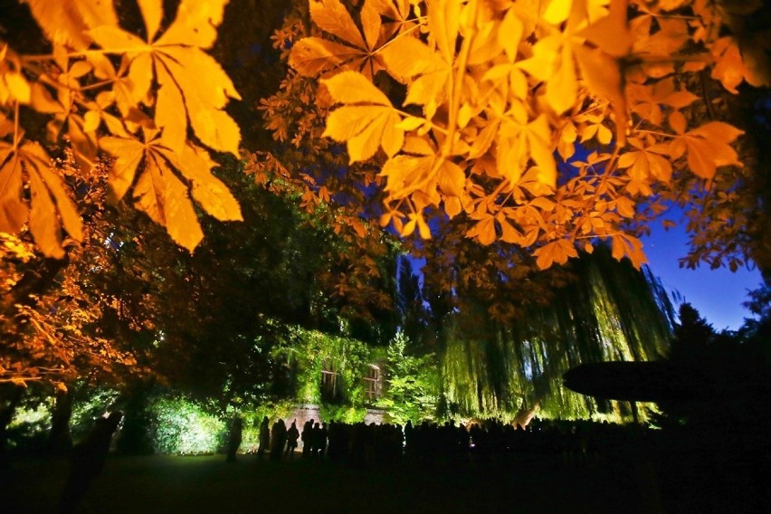 Bajkowy Ogród Botaniczny. Wieczorne pokazy iluminacji [ZDJĘCIA]