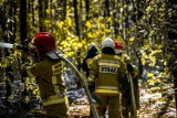 Strażacy z Olkusza i okolic mieli pełne ręce roboty. W powiecie doszło do aż pięciu pożarów