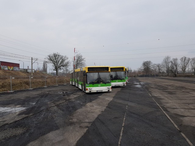 

POLECAMY ARCHIWALNE ZDJĘCIA ZIELONEJ GÓRY


