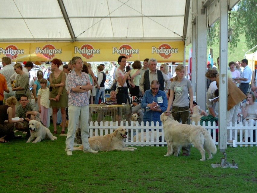 Przez lata wystawa psów Prestige odbywała się zawsze w Lesznie w maju: na stadionie albo na lotnisku