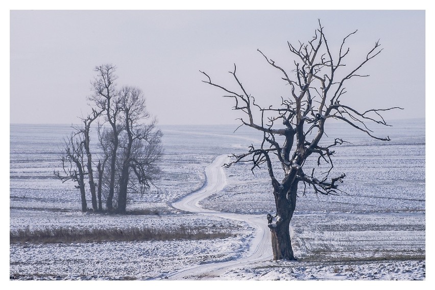 Zdjęcie "Biała Droga" wyróżnione w 2016 r. przez National...