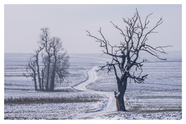 Zdjęcie "Biała Droga" wyróżnione w 2016 r. przez National Geografhic, wyróżnione też przez Antoniego Kraisa i wizytówka Wystawy Fotografików Olkuskich 2016