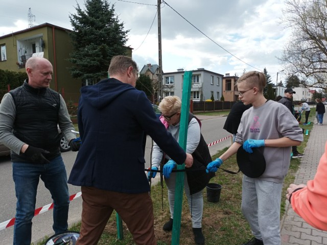 Z okazji Światowego Dnia Ziemi przy ul. Niskie Brodno w Brodnicy posadzono 13 sadzonek lipy