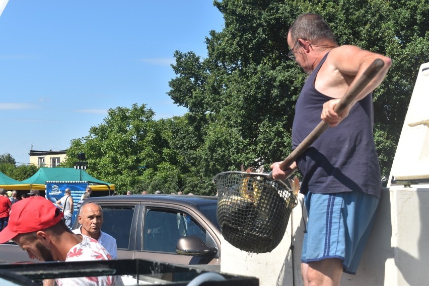 Tak w poprzednich latach wyglądało Święto Karpia w...