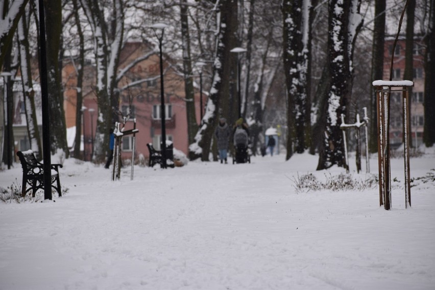 Park Tysiąclecia w Krośnie Odrzańskim w zimowej oprawie.