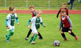 Piłka nożna. Żacy ponownie zagrali na Stadionie Powiatowym w Pile.  Zobaczcie zdjęcia