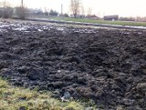Za 14 milionów złotych zostaną przeprowadzone scalenia gruntów i prace poscaleniowe na terenie Rożnowic w gminie Biecz