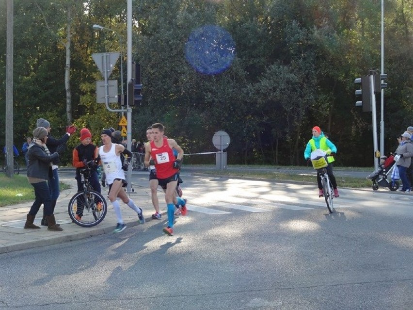 Zawodnicy 16. Poznań Maraton na Dębcu

Zobacz też:
Poznań...