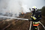 Pożar odpadów w Brożku. Śmieci palą się niczym pole naftowe!