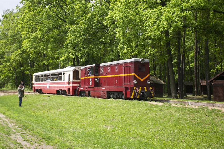 Piaseczyńska Kolej Wąskotorowa. Wybierzcie się na wycieczkę kolejką jak za dawnych lat [ZDJĘCIA, WIDEO]