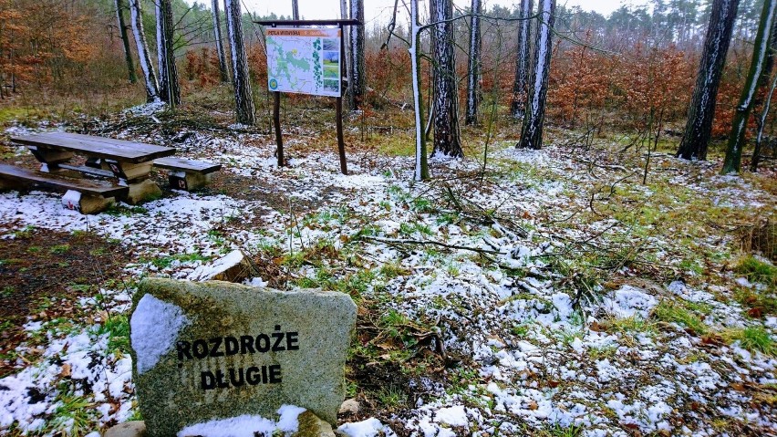 Tablice i mapy w gminie Szprotawa
