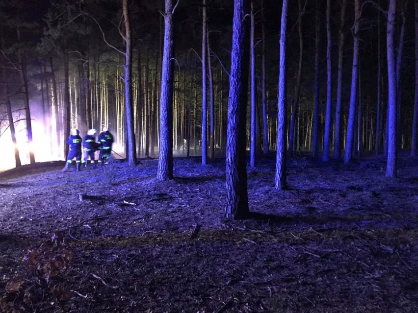 Jak płonie las? Zdjęcia i wideo z największych pożarów w naszym powiecie. Sytuacja w lasach jest bardzo zła