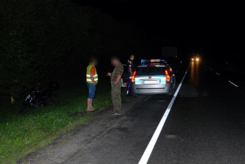 Swarożyn: motocyklista zderzył się z... łosiem. Ranny trafił do szpitala [ZDJĘCIA]