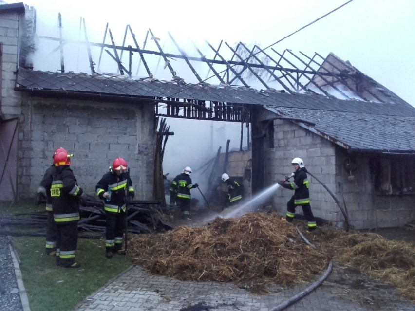 Pożar stodoły w Zatorze. Strażacy przez 7 godzin walczyli z ogniem