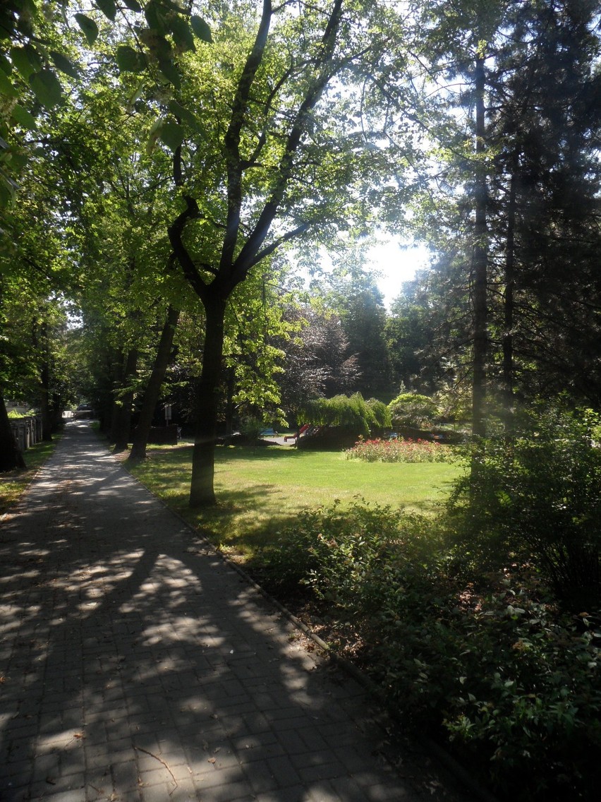 Parki i zieleńce w Rybniku